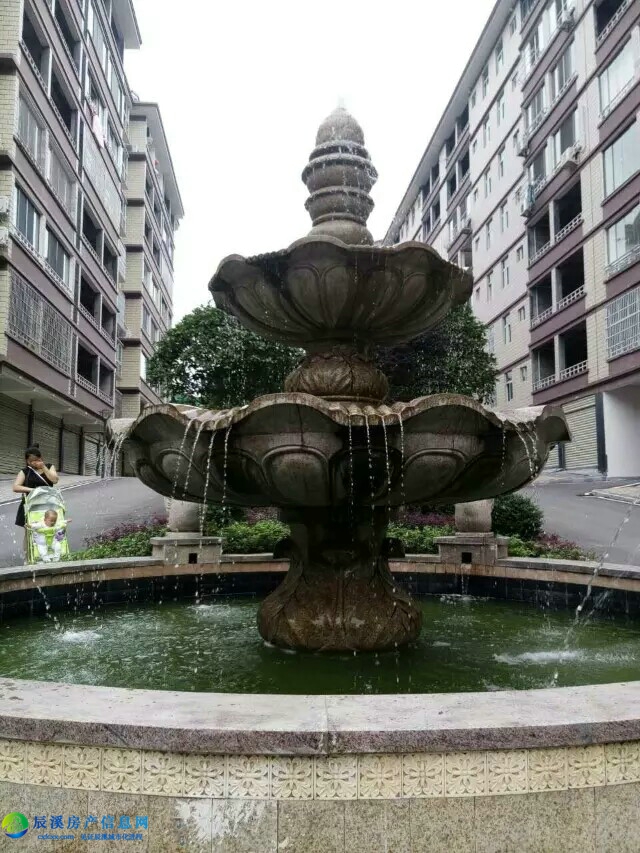 实景图 