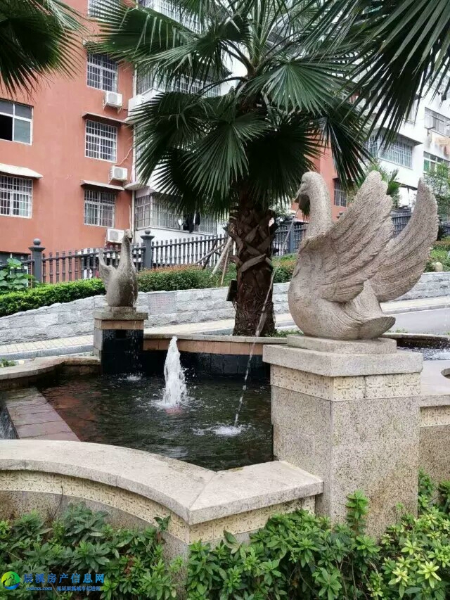 实景图 